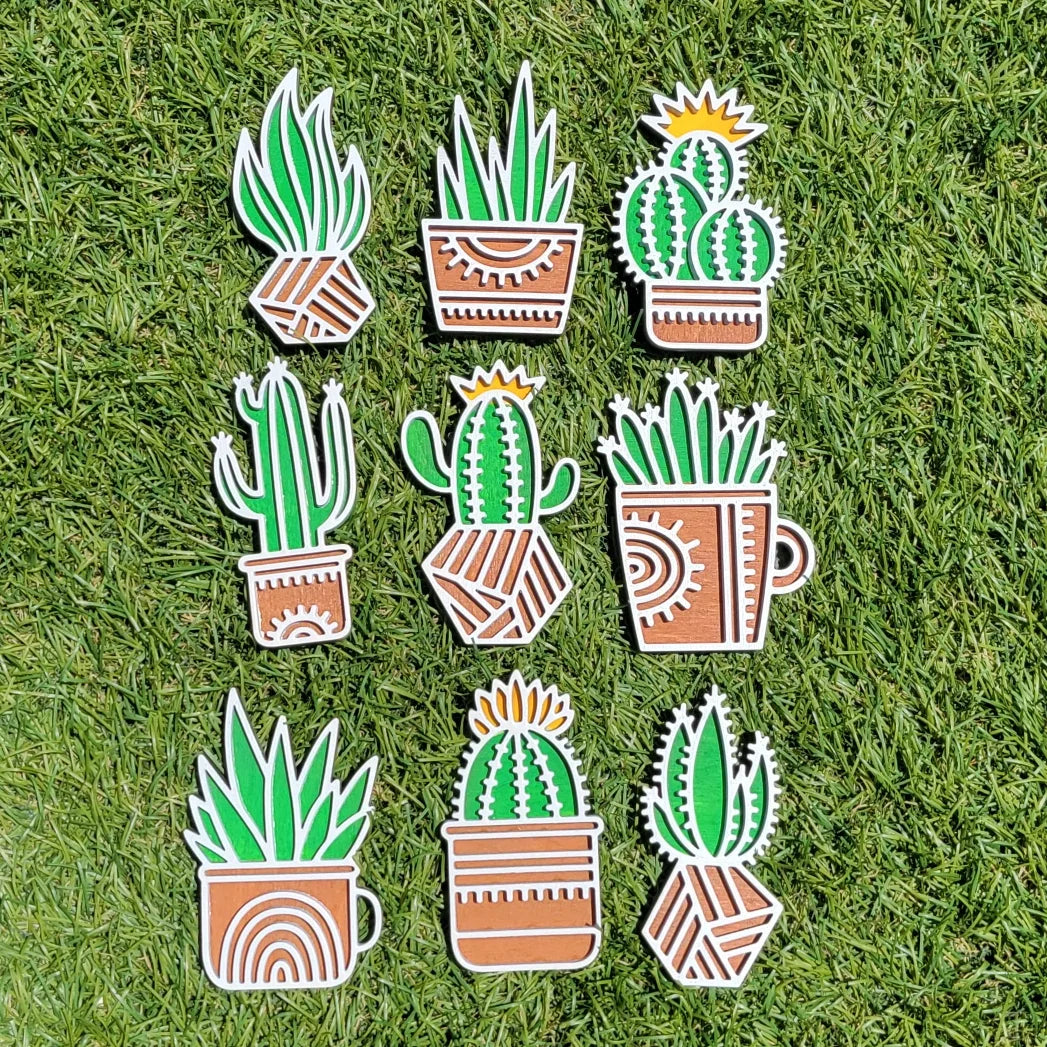 Succulent Magnets